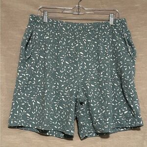 Lands' End Women’s Teal and White Casual Shorts